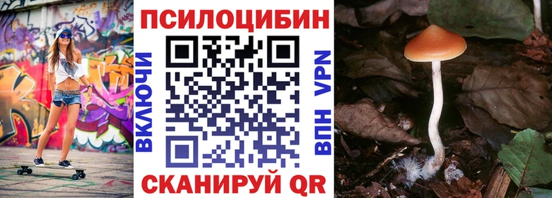 OMG вход  Пересвет  Галлюциногенные грибы Psilocybine cubensis 